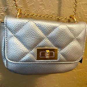 Silver Bag nwt